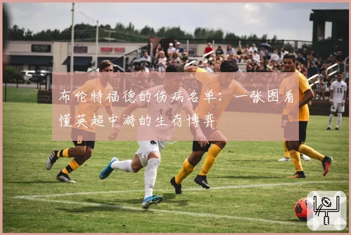 布伦特福德的伤病名单：一张图看懂英超中游的生存博弈